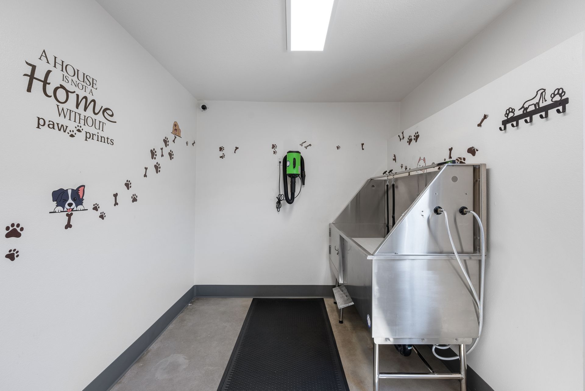 Dog wash room with dog wash bath and dryer