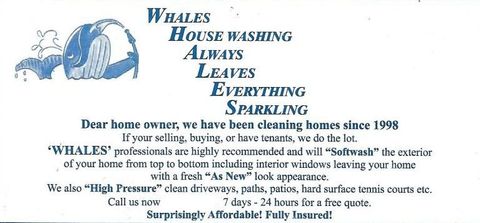 whales washing logo