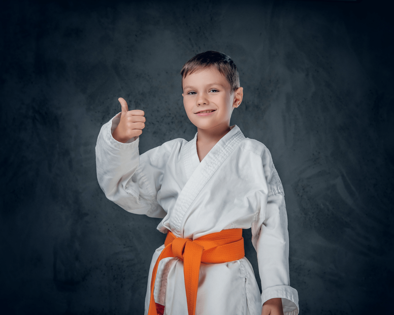 gratis proefles judo in harderwijk