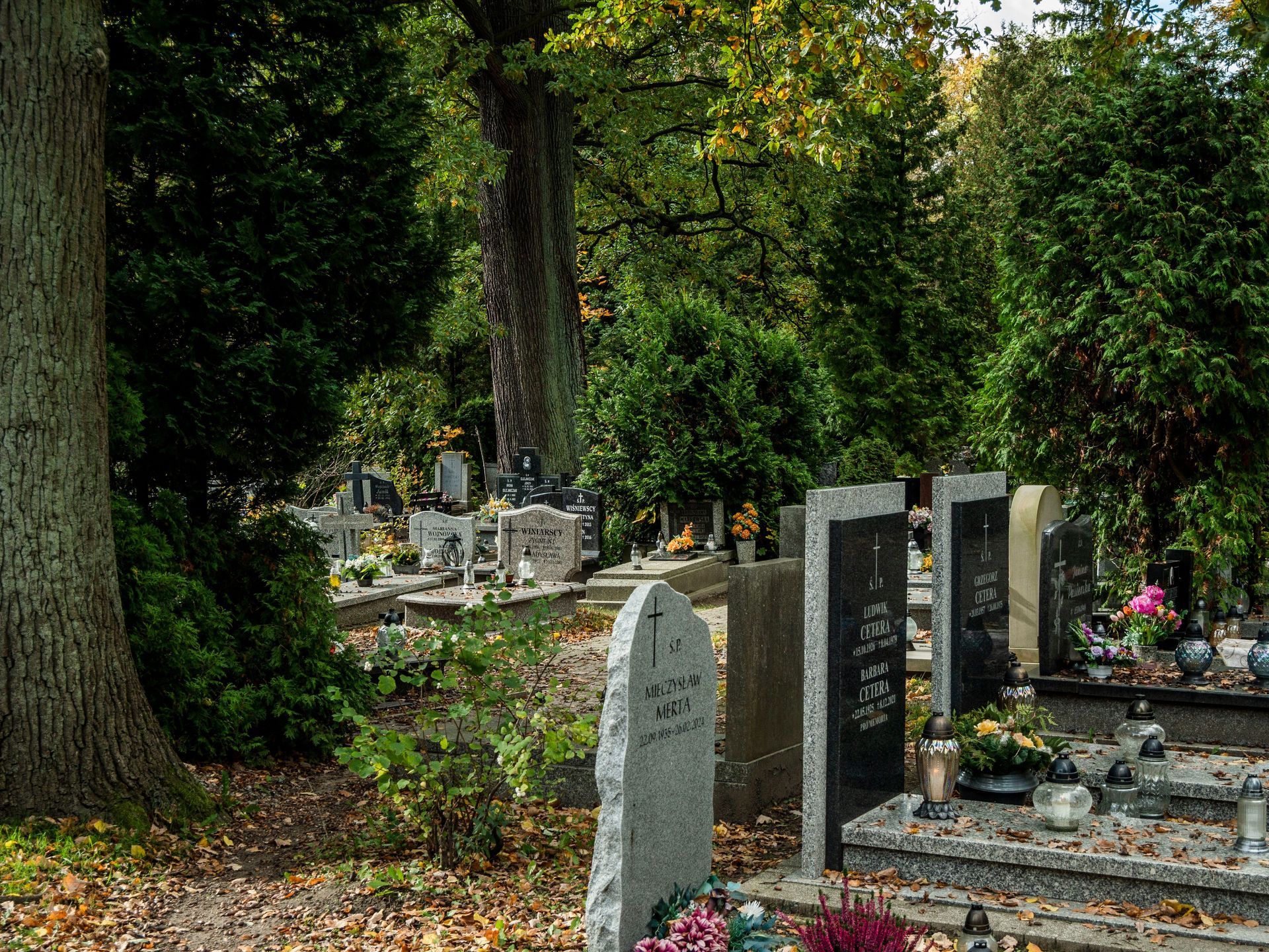 Eco-Friendly Funeral