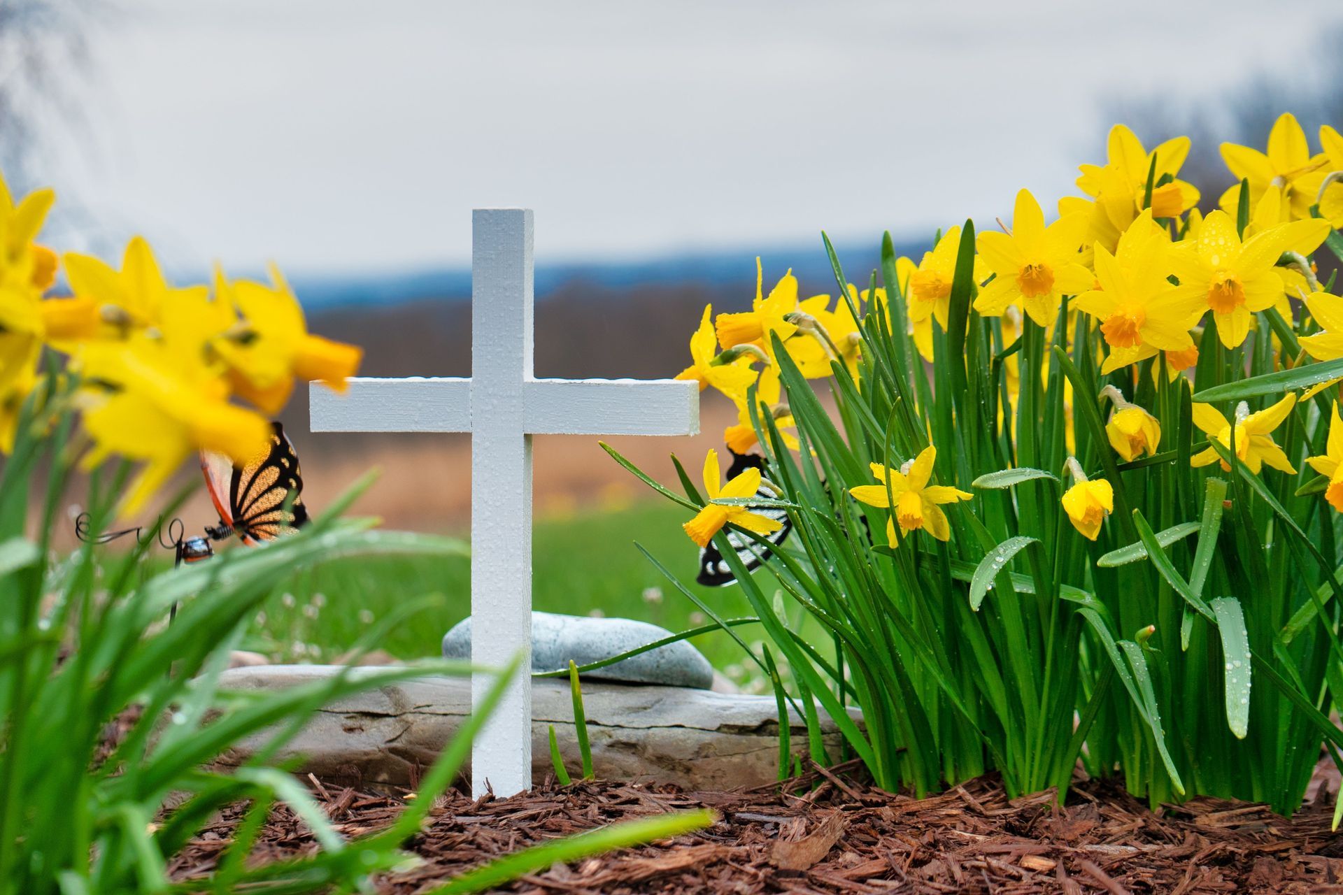 Spring Remembrance