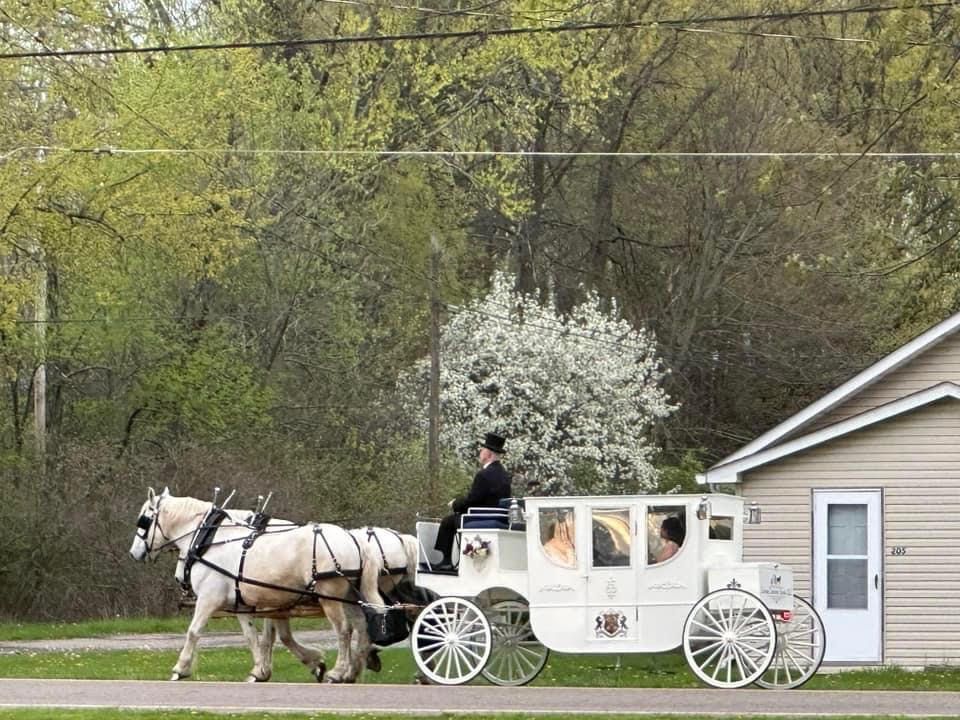 White horse-drawn carriage with a driver beside a small building on a rural roadside
