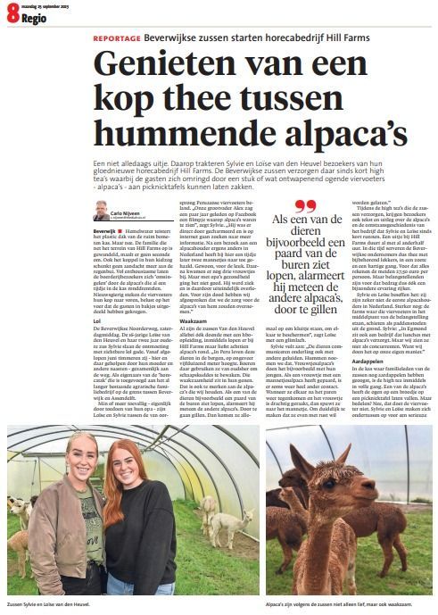 krant artikel