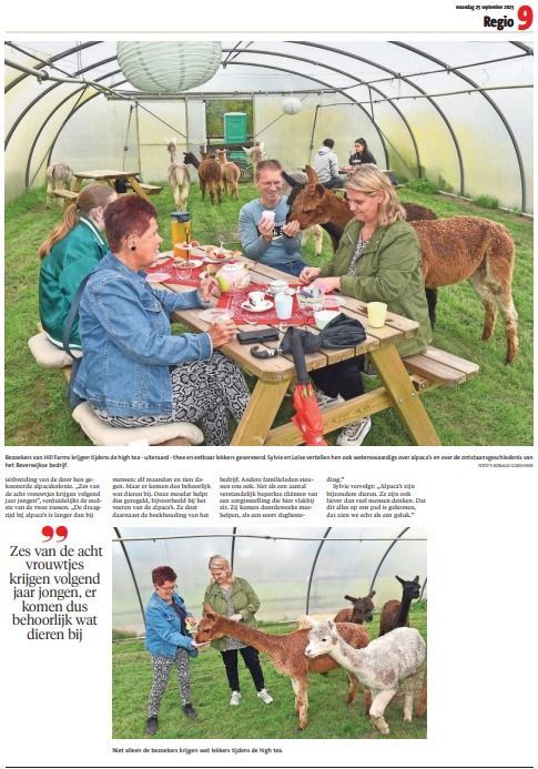 krant artikel 2 