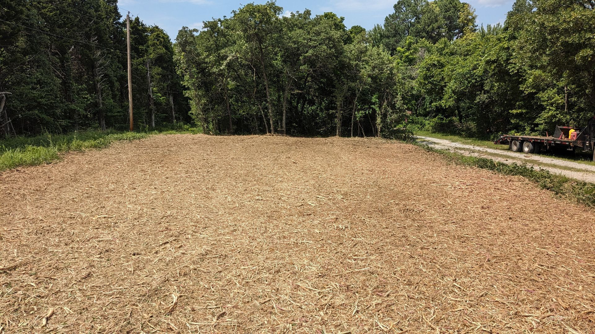 Cleared dirt lot with wood chips, bordered by trees under a bright sky