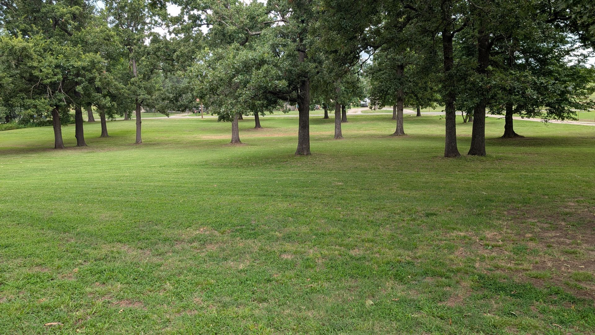Grassy park with scattered trees under an overcast sky