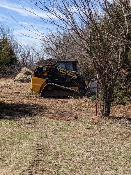 Yellow-and-black skid steer parked in a grassy yard near trees and brush under a blue sky