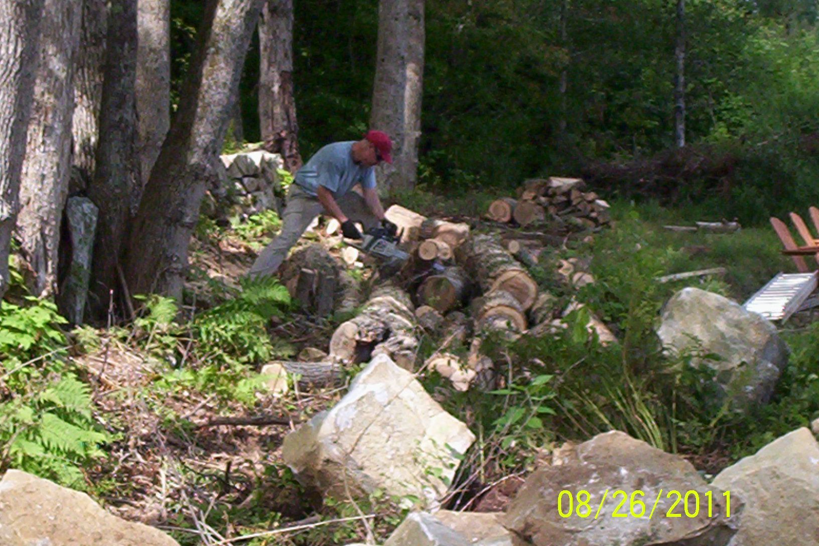 Person stacking cut logs in a wooded area beside a stone wall and trees.