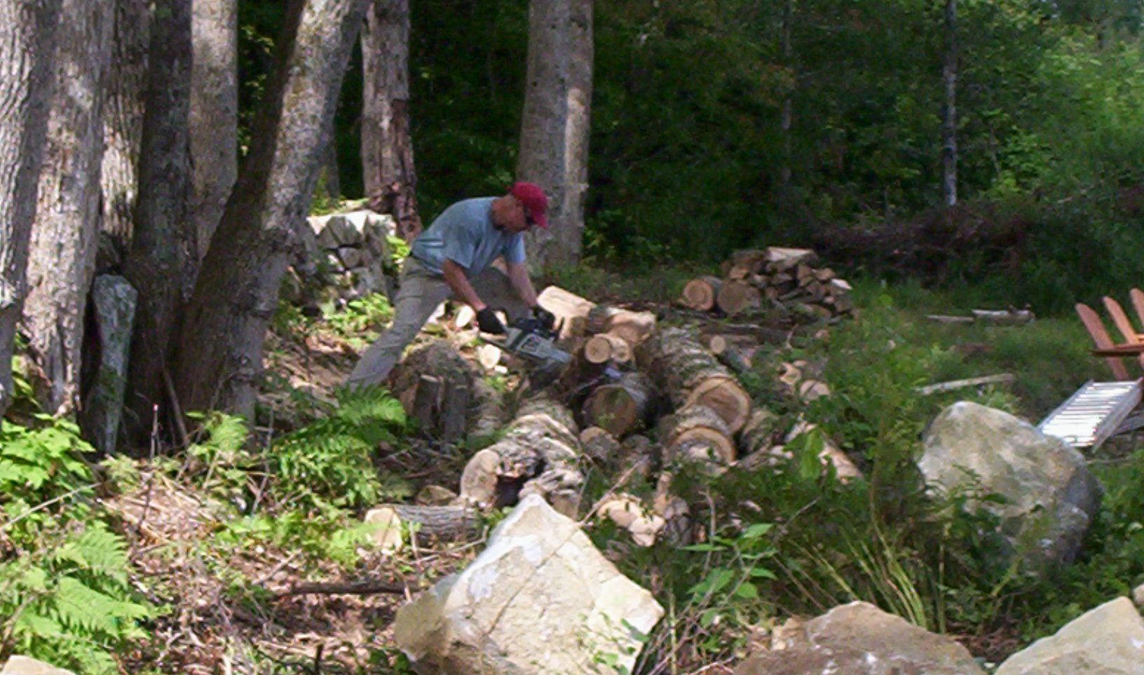 Person in a red cap cutting logs in a wooded area with stacked and scattered cut wood.