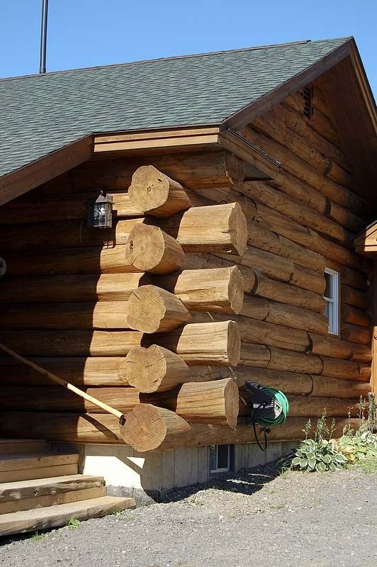 Log cabin exterior with large rounded log corners and a shingled roof in bright sunlight