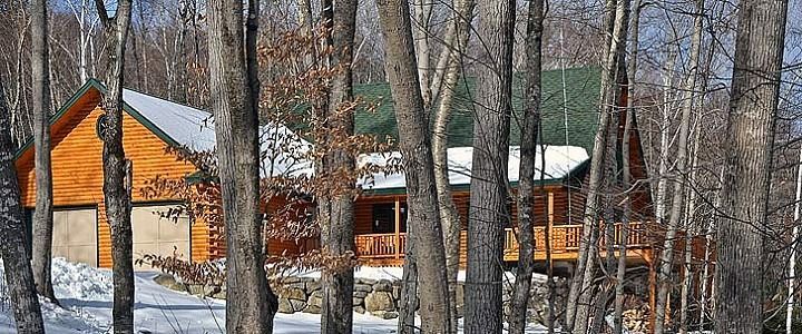 Wooden cabins with snow-covered roofs among leafless trees in a winter forest