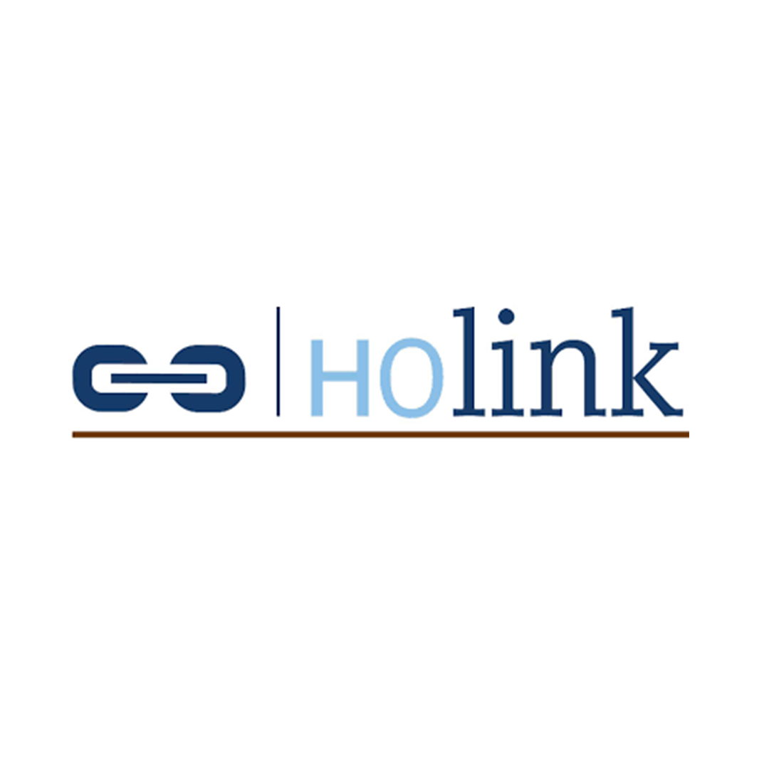 Holink2023