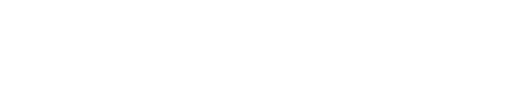 New Spark Plug Transparent Logo