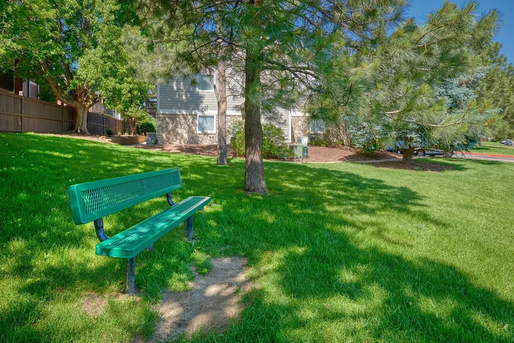Green bench in a sunny grassy park beside a tree and apartment buildings