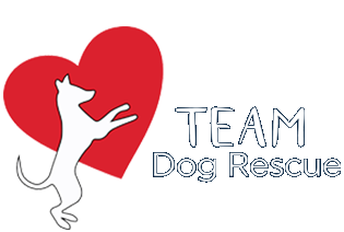 White silhouette dog inside red heart, 