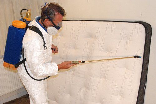 comprehensive-bed-bug-inspection-control-in-houston-tx