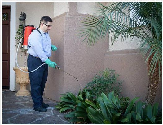 Pest Control Practitioner Pest Control Practitioner