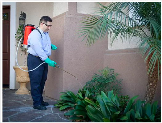 ANIMAL AND RODENT TRAPPING & REMOVAL