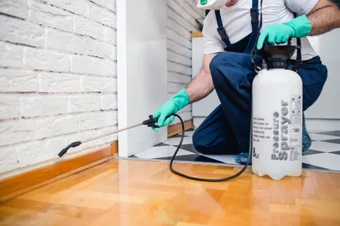 EXPERIENCED PROFESSIONALS