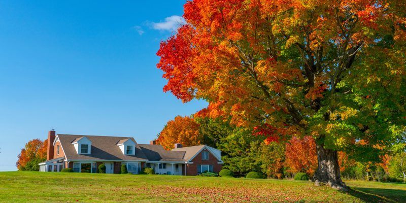 Une maison au milieu d'un champ herbeux avec des arbres en arrière-plan.