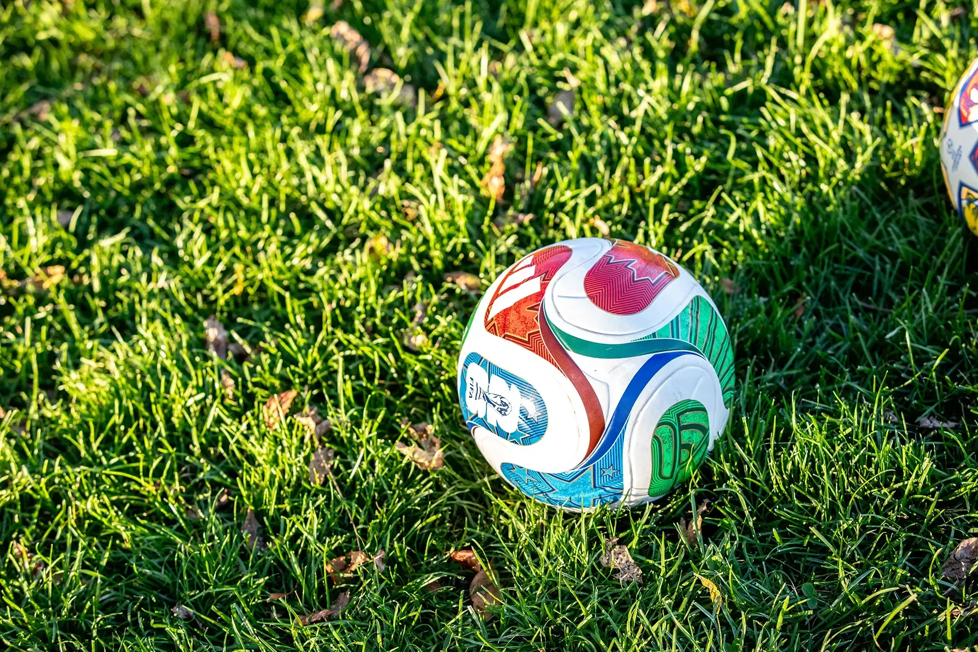 Colorful soccer ball resting on green grass outdoors