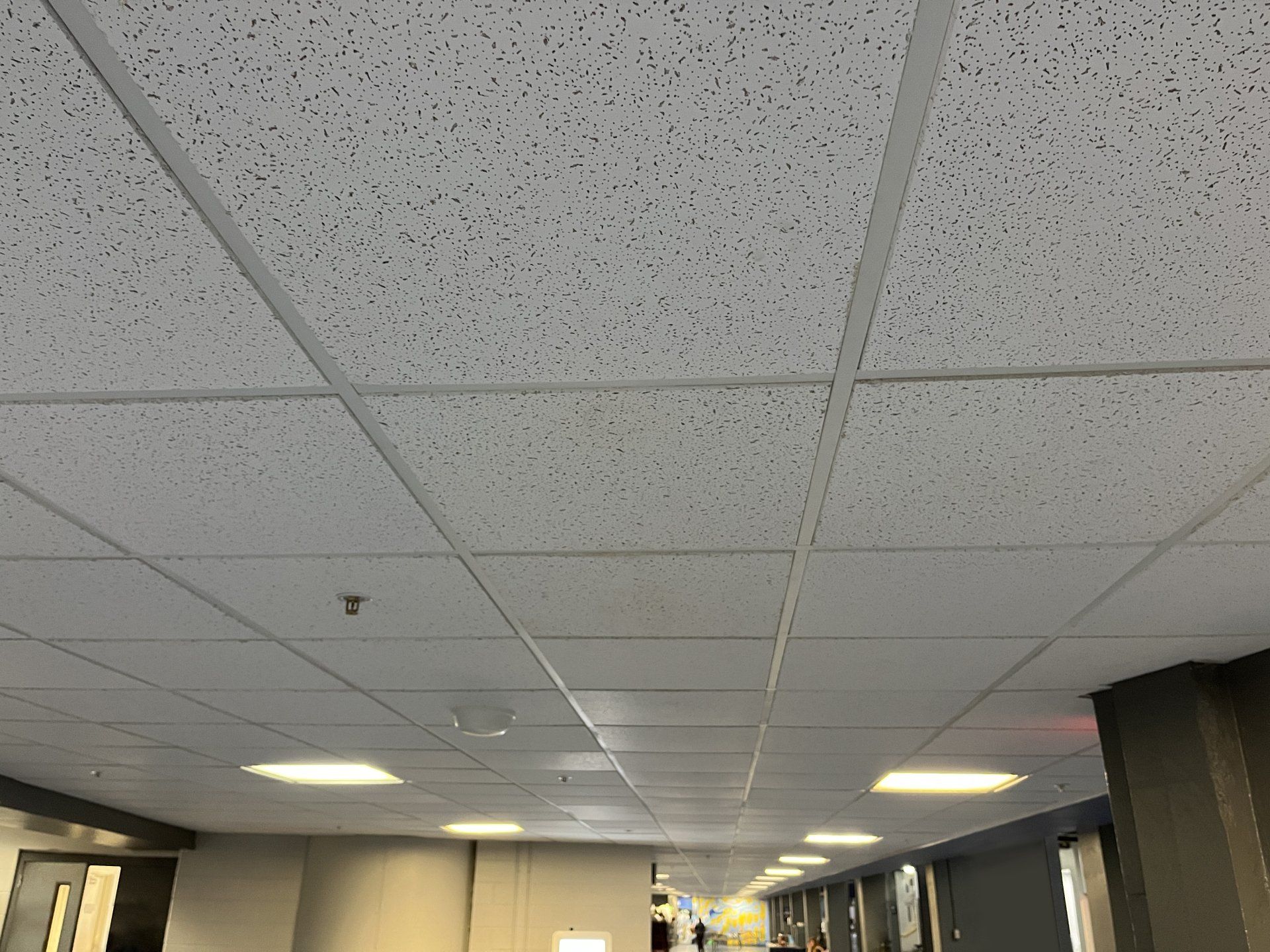 huge commercial acoustical ceiling installation