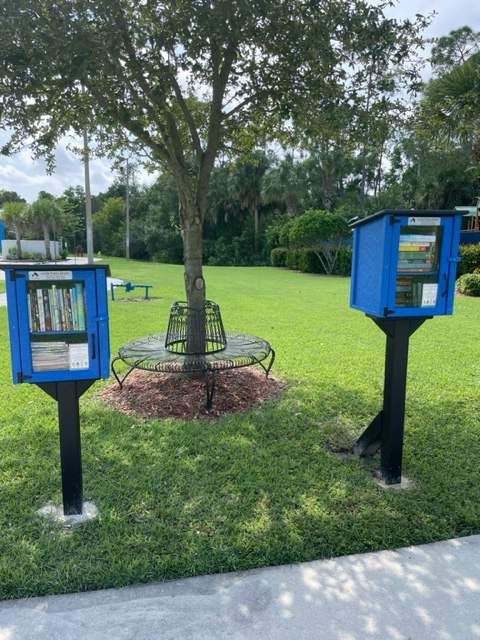 Two blue bookshelves in a park next to a tree