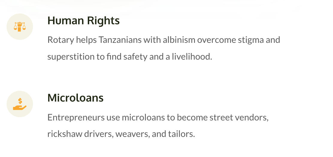 A screenshot of a website that says human rights and microloans.