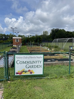 A community garden is behind a chain link fence.
