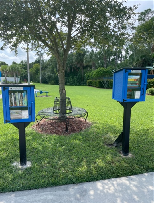 Two blue bookshelves in a park with a tree in the background