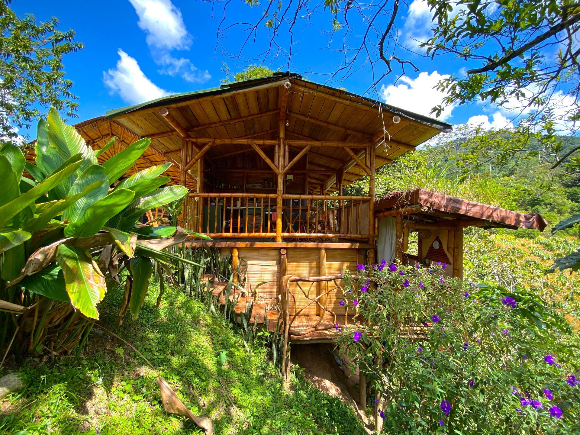 Wooden cabin with bamboo roof and railing, surrounded by lush green plants and hillside, under blue sky.