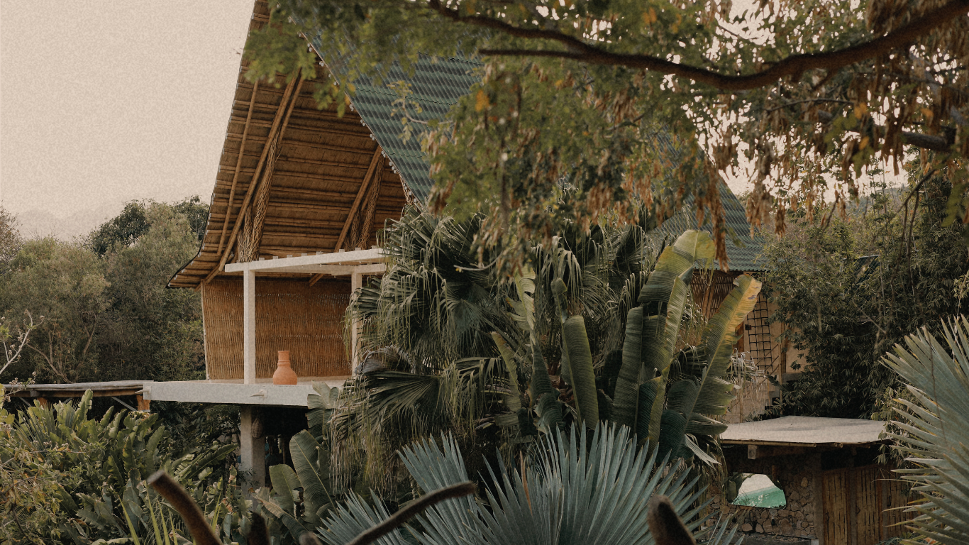 Wooden cabin with thatched roof surrounded by lush green foliage.