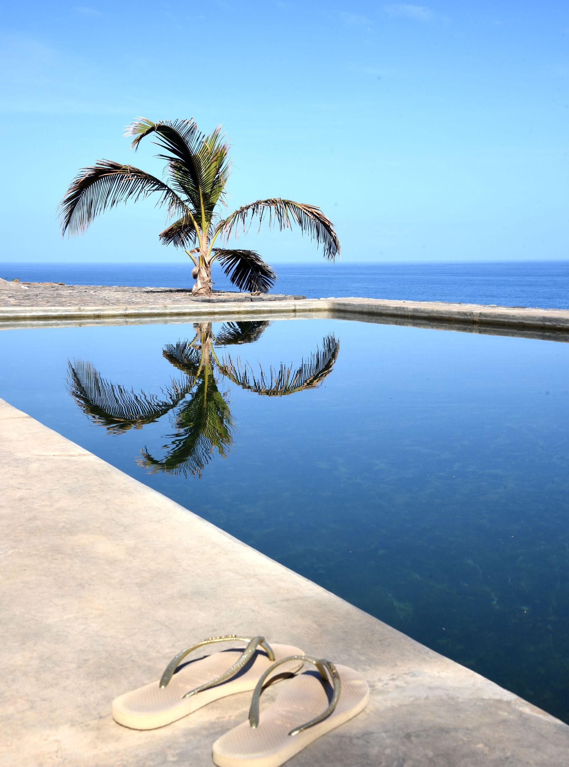 Palm tree reflected in a pool of water, ocean in background. Flip-flops on the concrete edge.