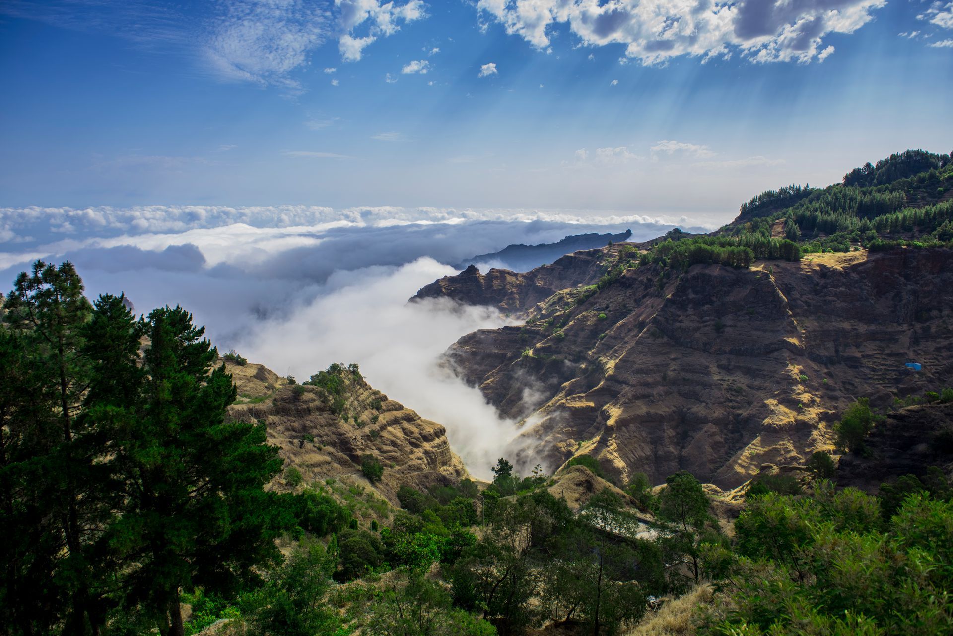 Mountain landscape with clouds filling the valleys, green trees, and a blue sky with sunlight.