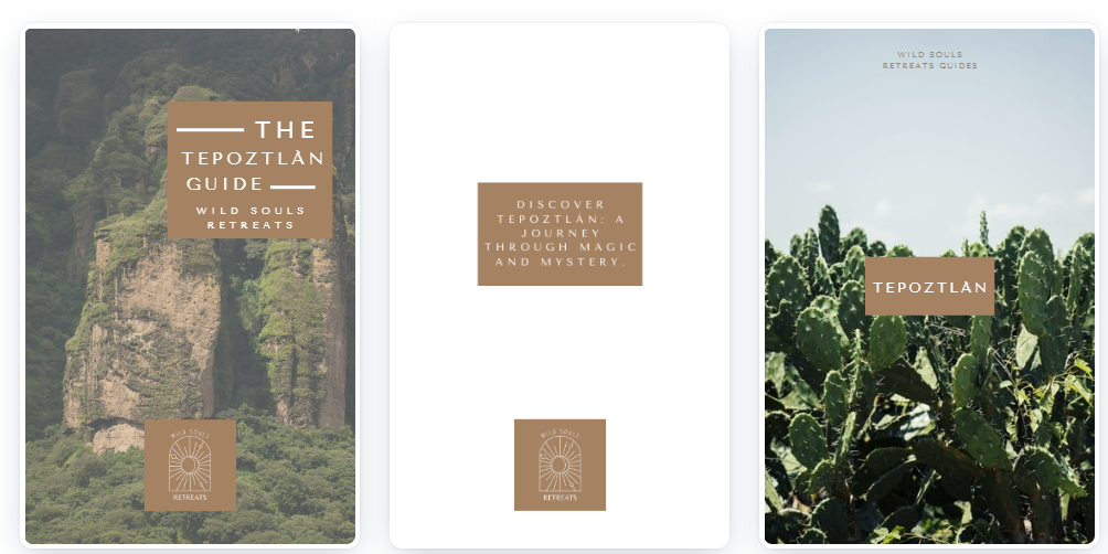 Three travel guide covers with nature scenes and brown text boxes: mountains, white, and cacti.