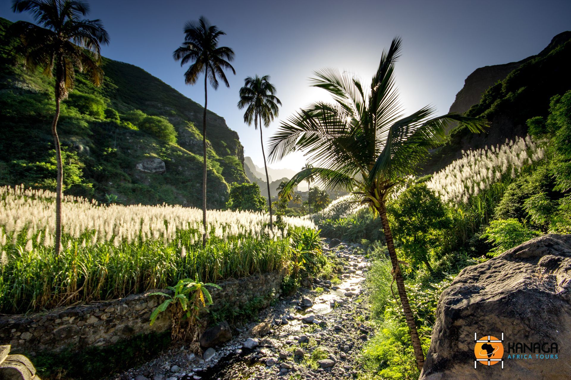 Valley with palm trees, stream, and sunlit greenery.