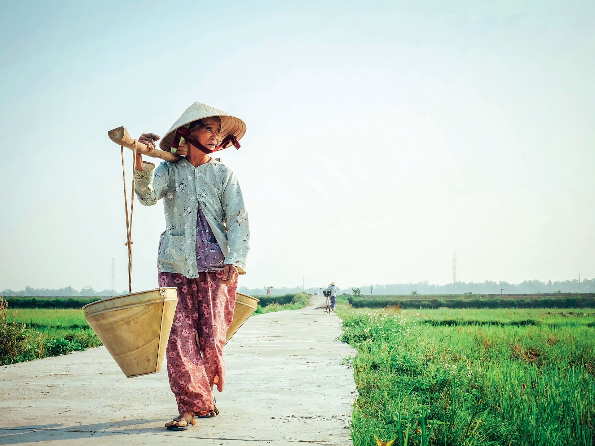 Woman with conical hat carries baskets on a shoulder pole, walking on a path beside green fields.