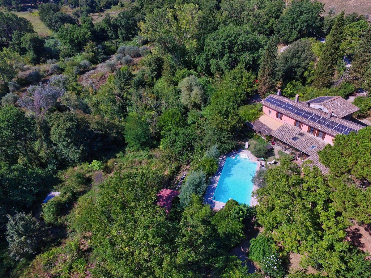Aerial view of a building with a pool surrounded by lush green trees and foliage under a sunny sky.