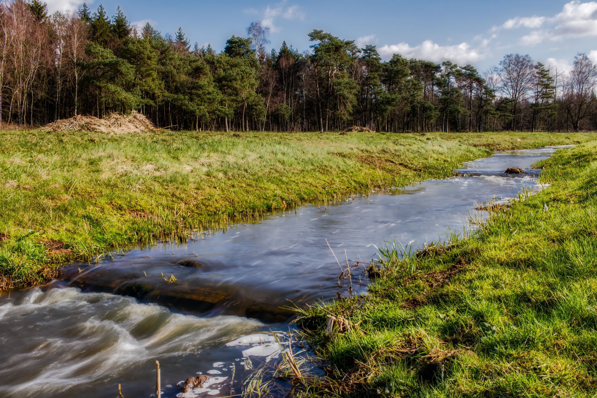 A stream flows through a grassy meadow, with a forest in the background under a blue sky.
