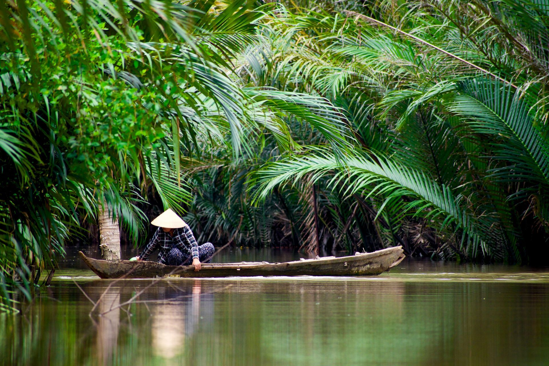 Person in a conical hat rows a small wooden boat on a river, surrounded by lush green foliage.