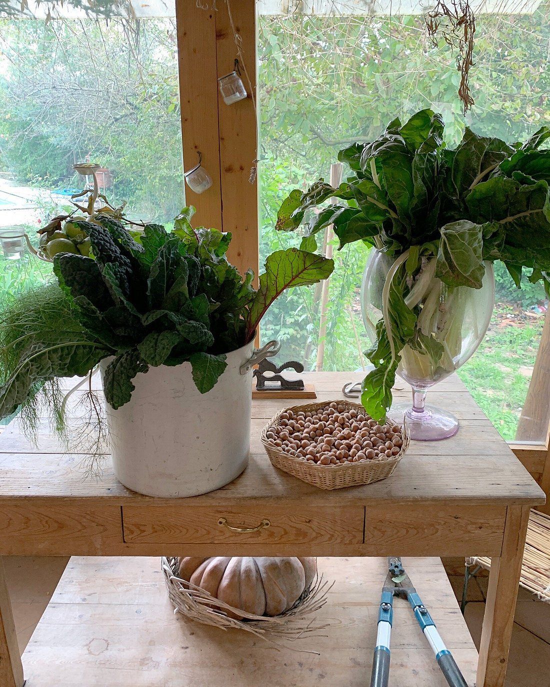 Vegetables in vases on a wooden table in a greenhouse. Other vegetables and gardening tools are present.