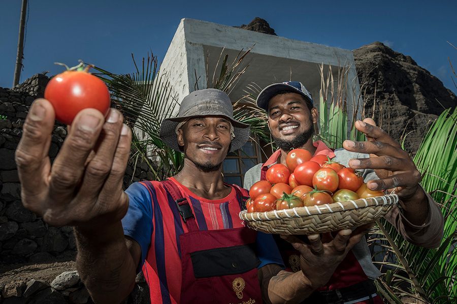Two men holding tomatoes, one a single ripe tomato, the other a basket of tomatoes. Sunny, outdoor setting.