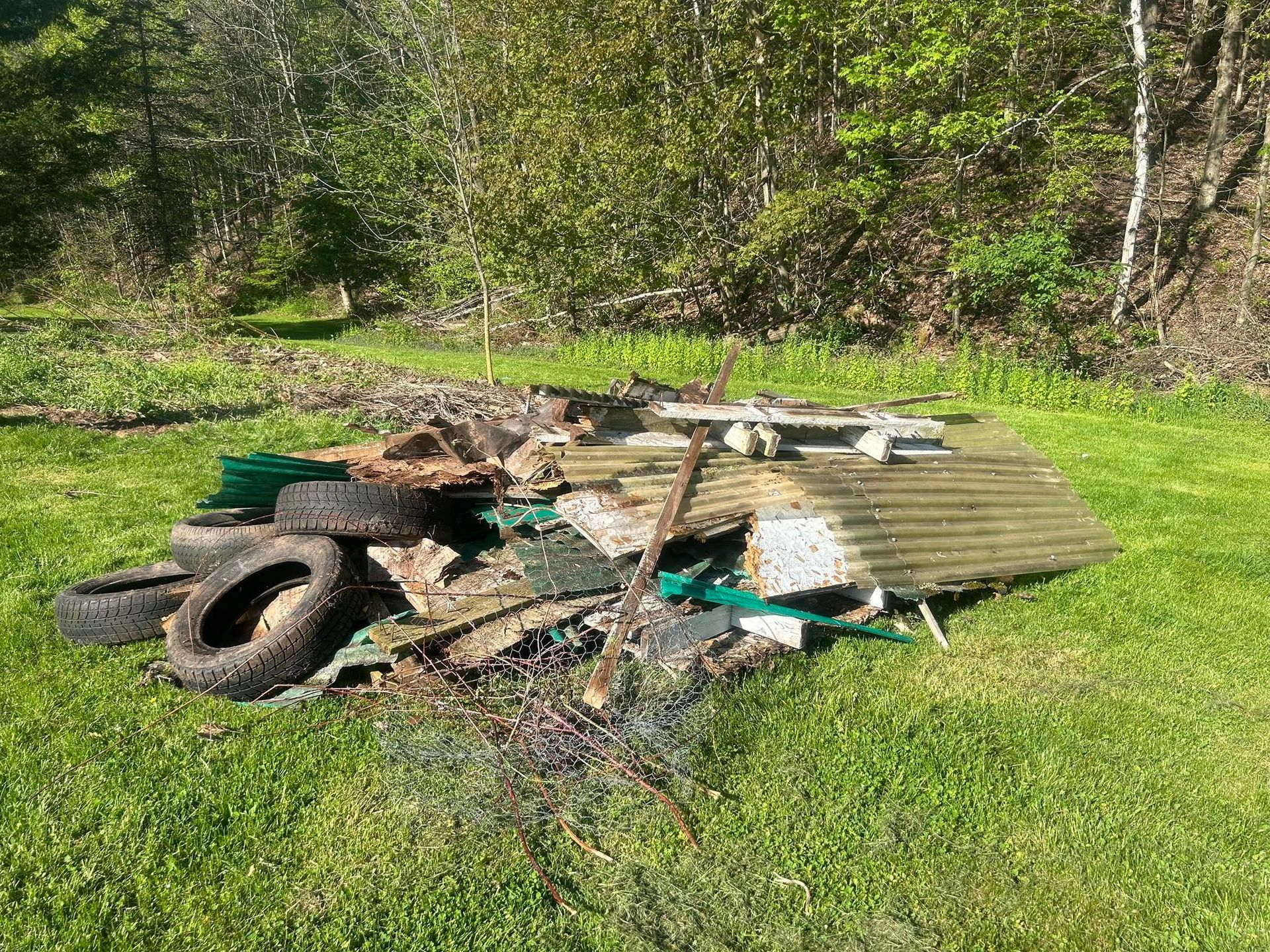 Red dumpster overflowing with trash in a wooded area; debris scattered around the base.