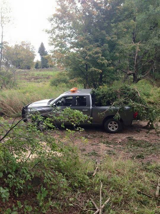 Gray pickup truck loaded with tree branches in a wooded area. Orange hazard light on the roof.