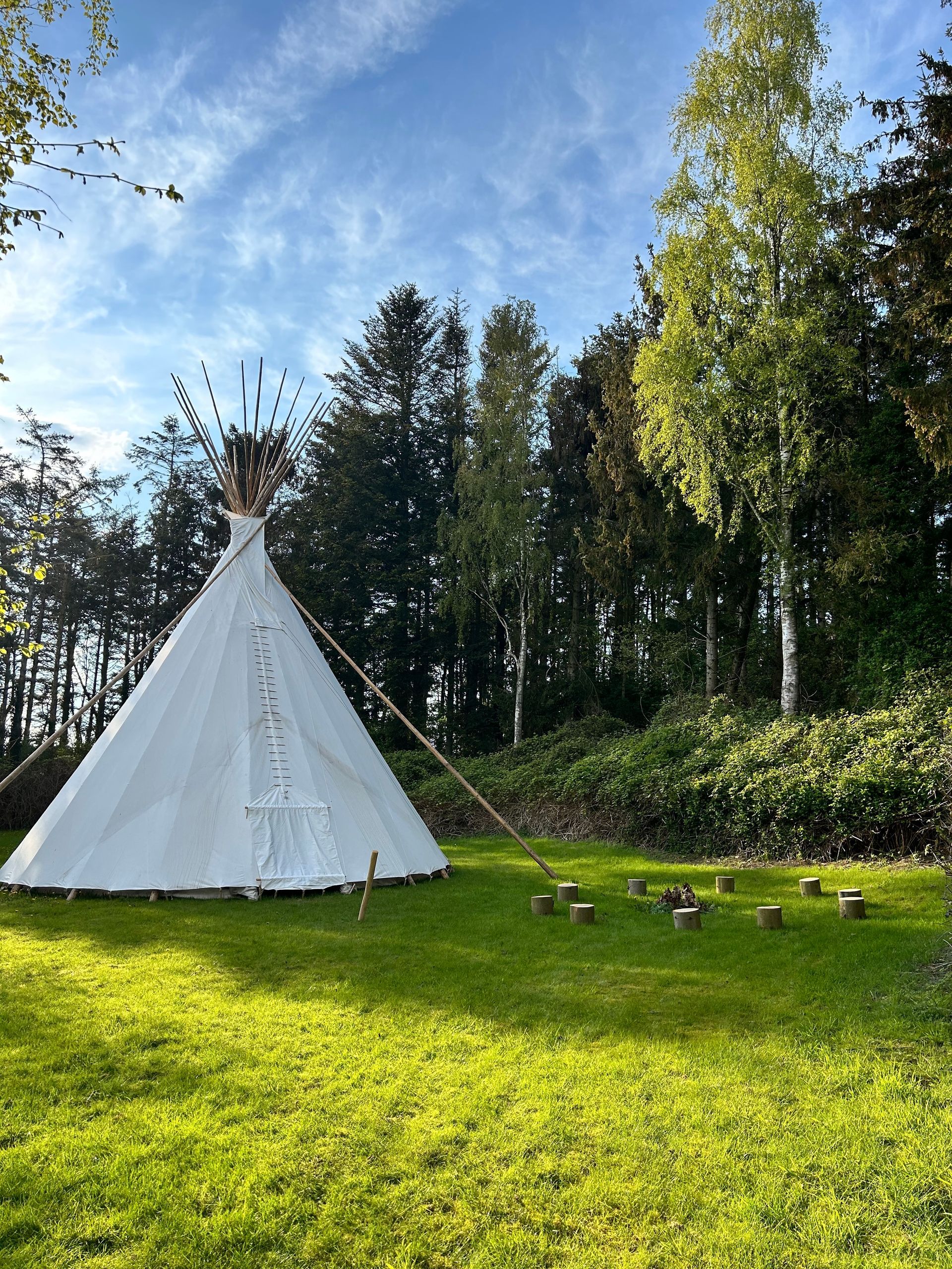Hvidt tipi-telt på en solrig grøn græsplæne med træer og blå himmel i baggrunden