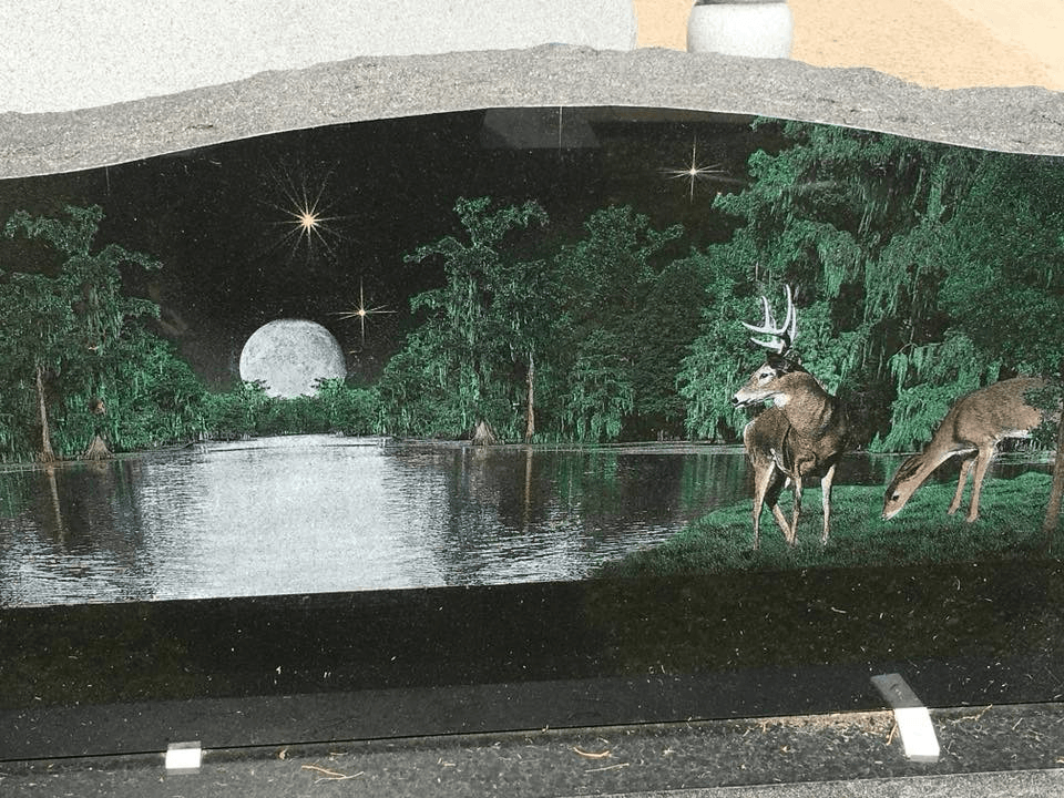 A couple of deer standing next to a body of water