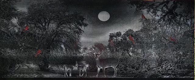 A black and white painting of a deer in a forest at night with a full moon in the background.