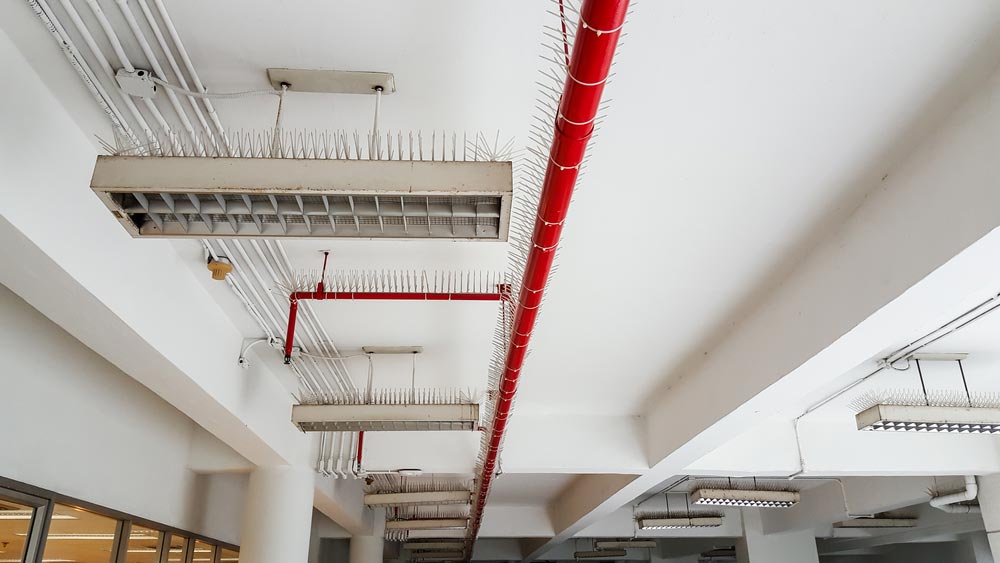 Ceiling With Fluorescent Lights, Red Pipes, and Bird Deterrent Spikes — Hunter Fire & Safety in Edgeworth, NSW