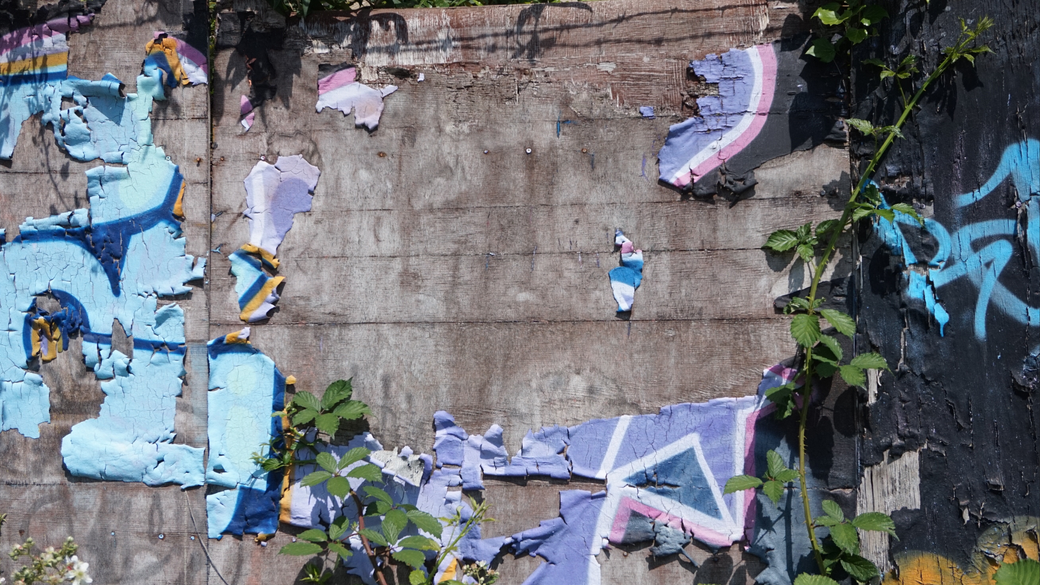 Weathered wall with remnants of blue and purple posters, and green vines.
