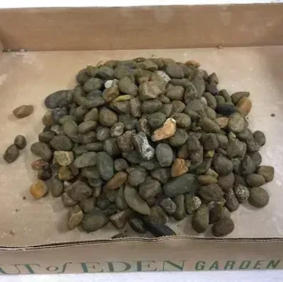 Pile of small multicolored pebbles on a light surface, with “EDEN GARDEN” visible at the bottom.